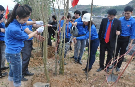Tree planting festival begins in many provinces - ảnh 1